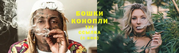 СК Богородицк