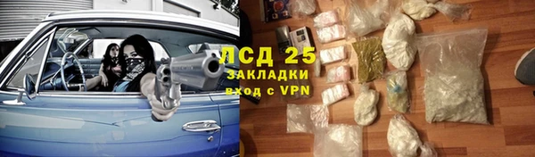 дживик Богородск