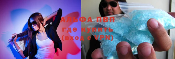 дживик Богородск
