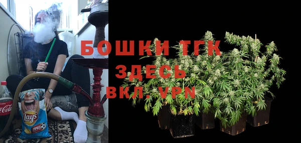 СК Богородицк