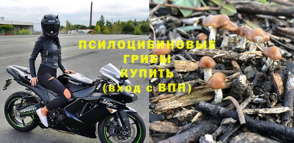 СК Богородицк