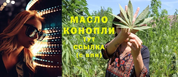дживик Богородск
